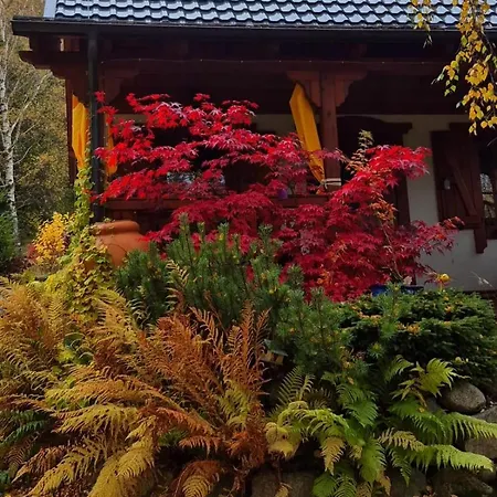 W Karkonoszach * Przesieka