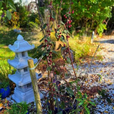 샬레 W Karkonoszach 셰시에카