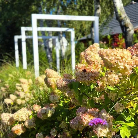 Horská chata W Karkonoszach *