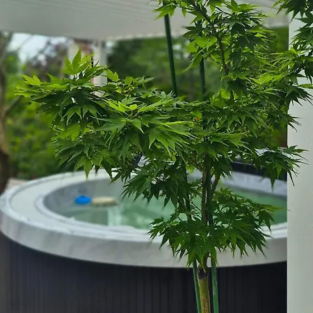 شاليه W Karkonoszach Jurta Karkonoska Z Sauna Jacuzzi I Balia Ogrodowa *