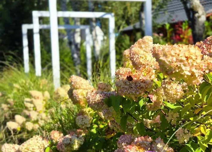 Domek alpejski W Karkonoszach *