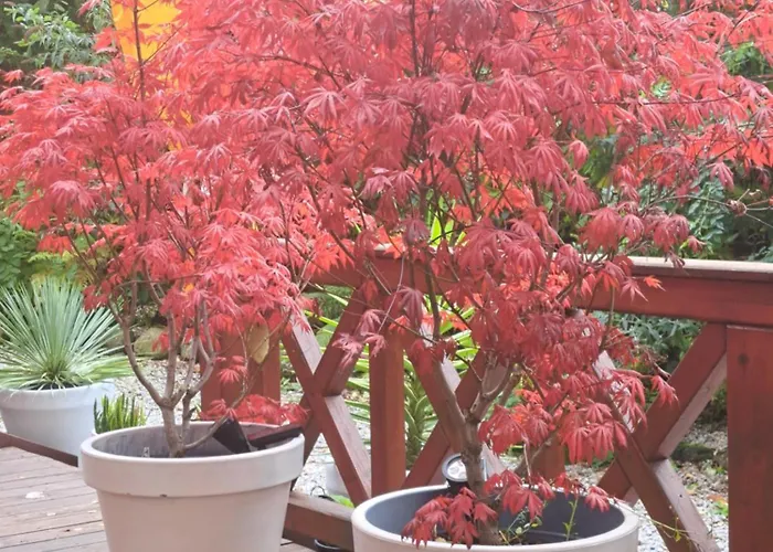 W Karkonoszach Domek alpejski *